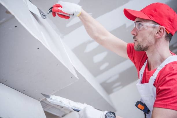 Best Drywall Repair  in Shelbina, MO